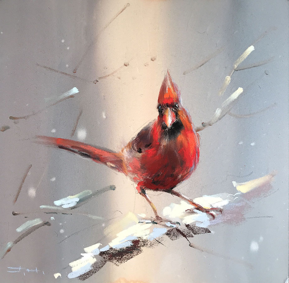 Winter Cardinal