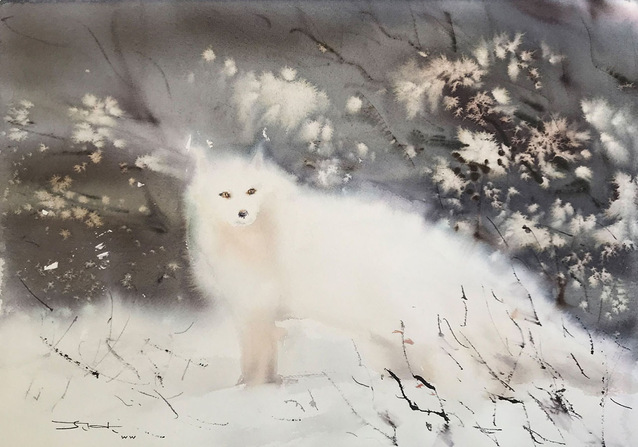 Arctic fox