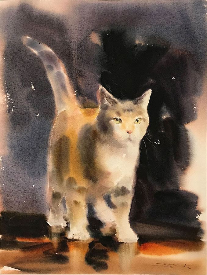 Calico cat