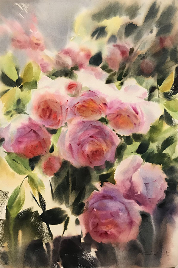 Garden Roses